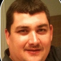 Paul  Owen Kelly